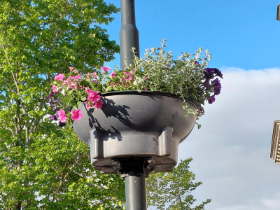 De kleurrijke bloembakken van de Dorpstafel hangen weer