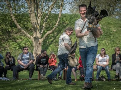 Ontmoet roofvogels en uilen