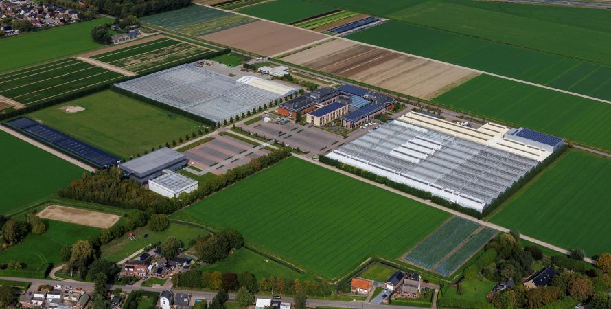 Nieuw kantoor en nieuwe kassen voor Rijk Zwaan.